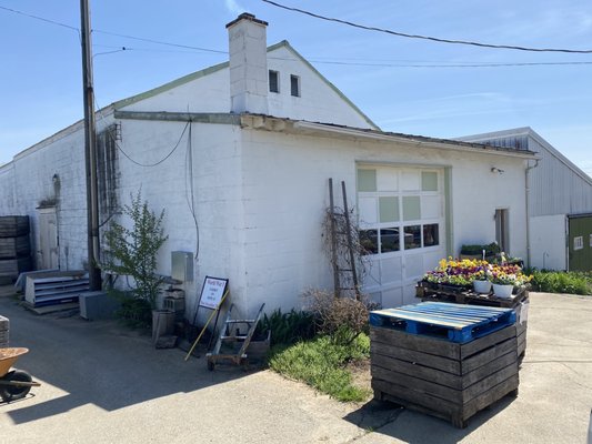 Curated baskets Nuanced taste from 'bad apples' Cook yourself some sauce #Nola_Haiku   #Barnards #AppleSauce #Coddiwomple #KennettSquare