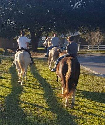 Clovis Point Stables