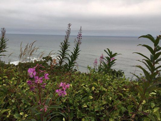 The view from the path to Crescent Beach Overlook in August 2017