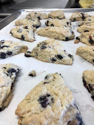 Home made blueberry scones (local, handpicked blueberries, The Berry Patch)