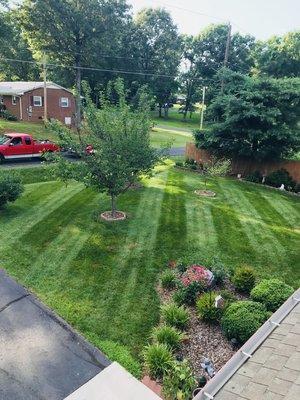 Beautiful lines that define our turf treatment program. Fungicides, Bermuda suppression, insect control in Archdale, North Carolina