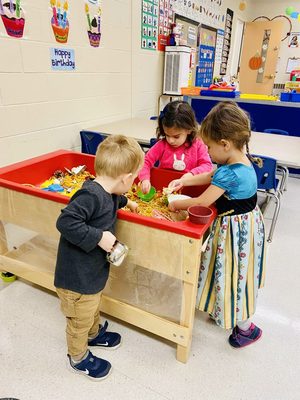 Pittsford Nursery School