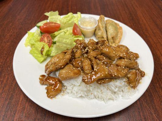 Chicken Teriyaki Platter: Chicken teriyaki over white rice, garden salad, and fried veggie dumplings