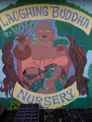 Laughing Buddha