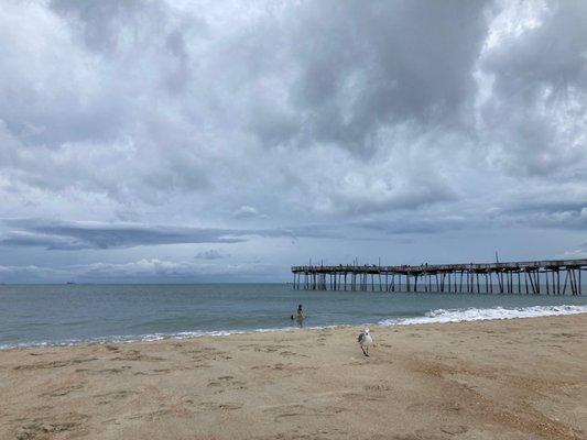 Pier view from beach (Moore Way)