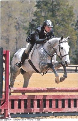 A horse and rider showing with Reflecting Heaven Stables