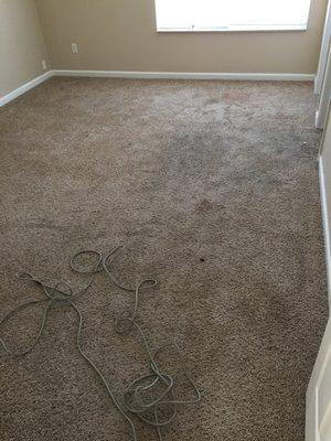 Before (carpet cleaning)