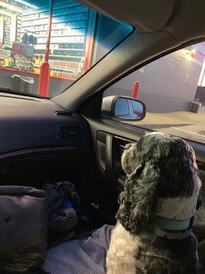 Toby, watching Ron provide excellent customer service