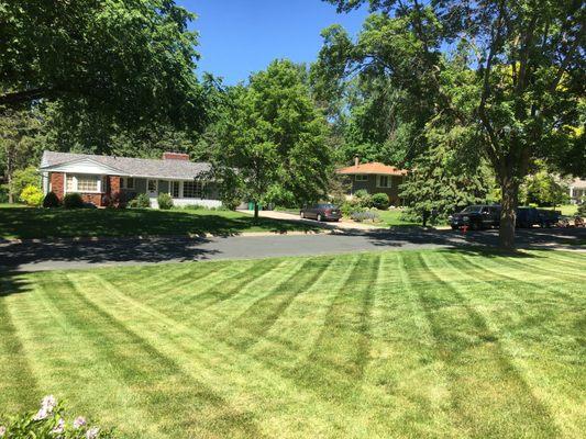 Emerald Greens Mowing and Maintenance