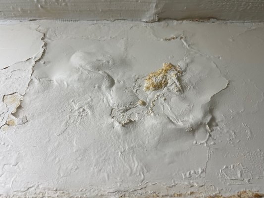 Damaged wall from leak. Has been like this for many months.