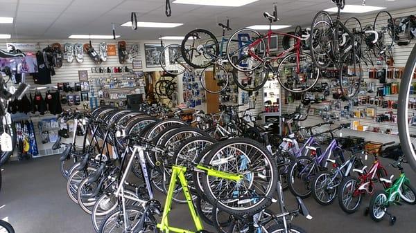 Lots of bikes to choose from