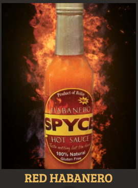 Spyce Sauce