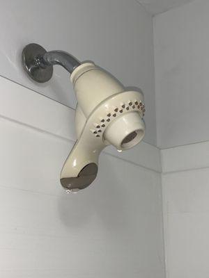 Dated shower