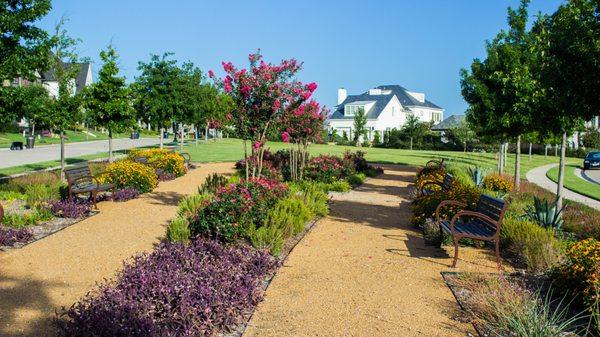 A peaceful garden space.