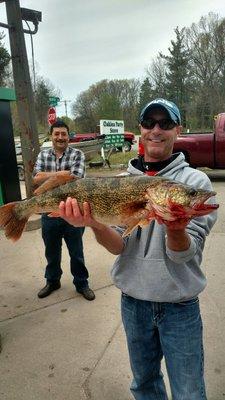 Spring walleye tournament winner. This grand River hog was 29.5 inches long!