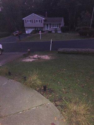 The tree down in front yard. Huge job, well done