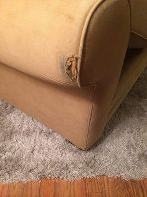 Couch damage