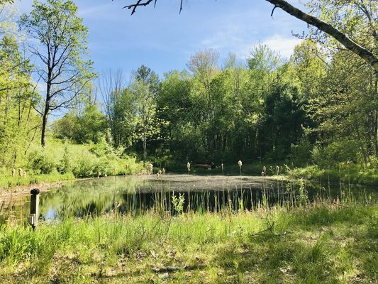 Beautiful private trails include a pond on the property