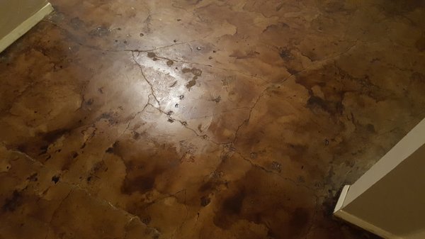 Raul's Concrete Stain in Plano, TX