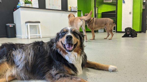 Group photo with Moose smiling