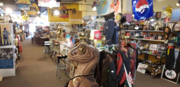 Bob the Raptor says "These mammals sell old stuff!"