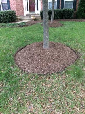 Mulch Installation