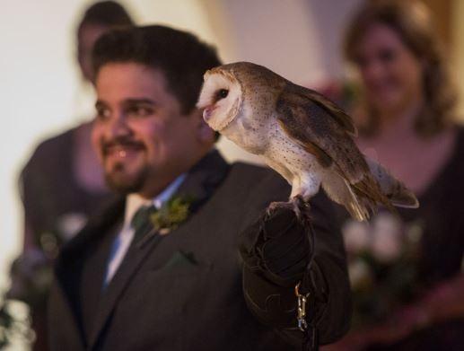 The Ring Bearer