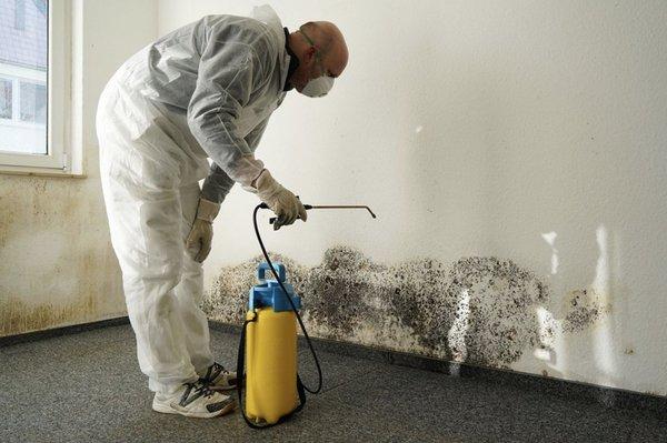 Mold Remediation