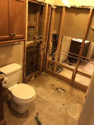 Before bathroom remodel