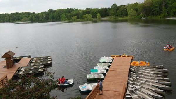 Paddleboats. Rent at the concession stand.