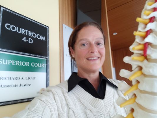 Dr Kerry at court explaining the spine