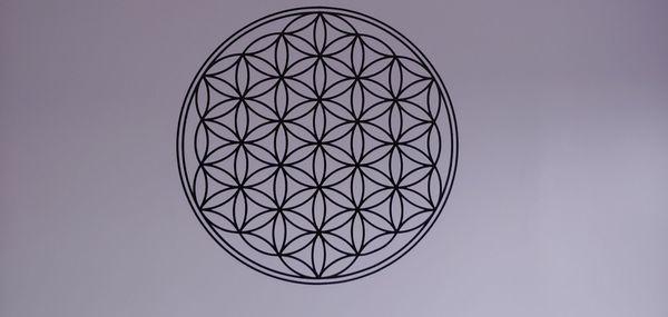 Flower of life beautiful