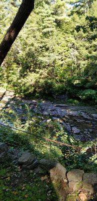 Creek you can hear clearly from the cottage