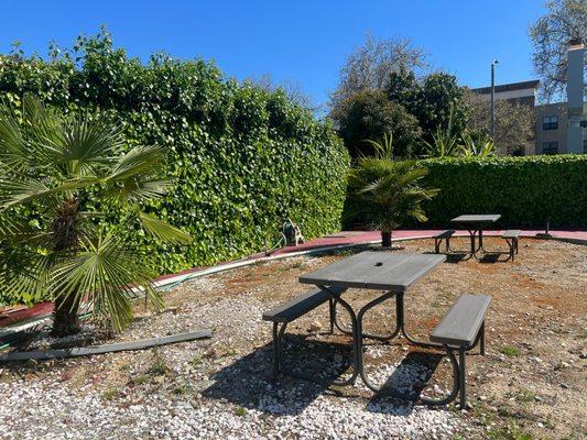 Our little garden area with seating.