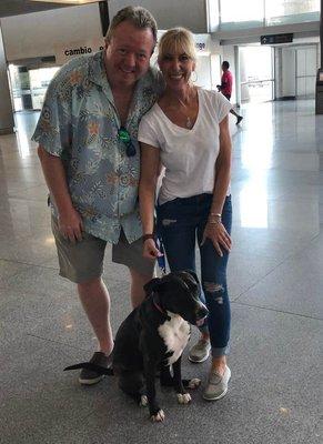 Owner Bernie and wife Jody helping bring dogs from Mexico to Seattle to find their furever homes!