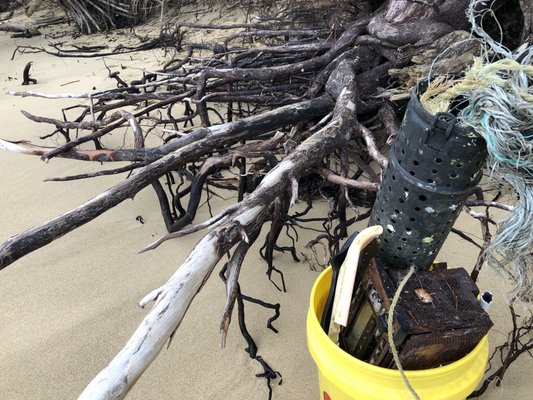 We picked up another bucket of trash.