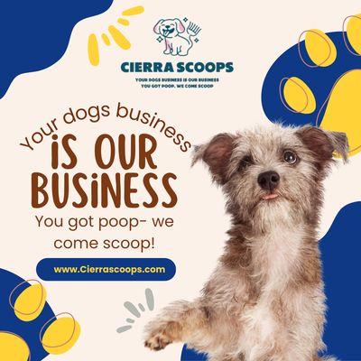 Your dogs business is our business! You got poop, we come scoop!