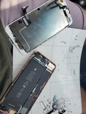 Cellphone Repair By Manie