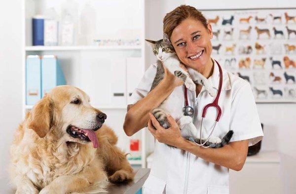 Veterinary Clinic in San Felipe TX