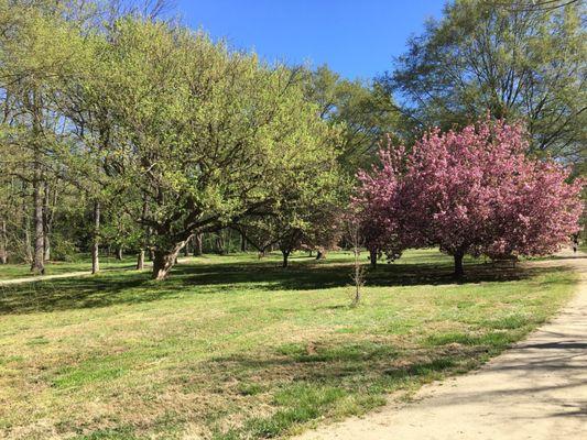 Run / walking trail