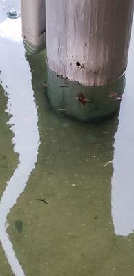 Flooded stairway