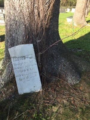 Just some of the old stones that give this cemetery charm.