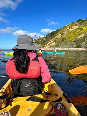 Beach Cove Retreats