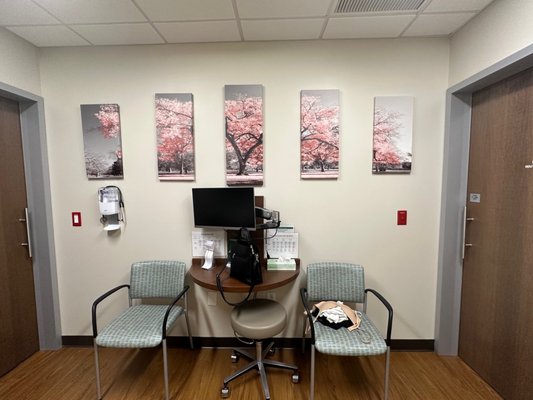 Calming and classy modern exam room. Double Doors on both sides.