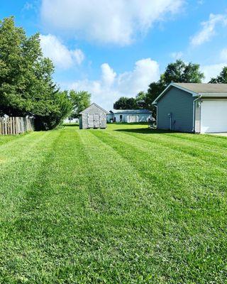 Grizzly Lawn Care