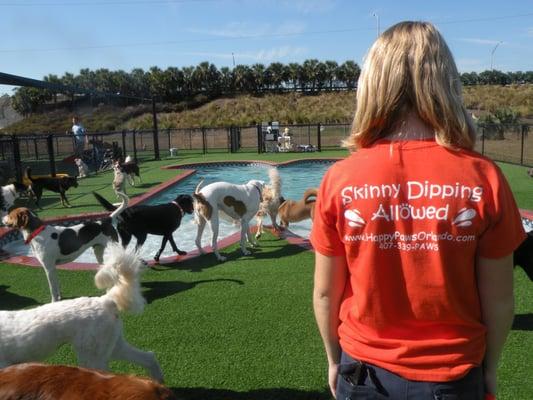 Doggie Day Care Pool Party!