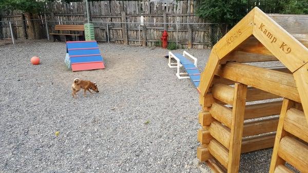 They have a playground for dogs!