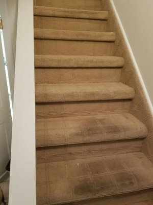 Cleaning the stairs by removing the stains, customer was amazed due to 25 years of stains getting removed looks brand new!!!