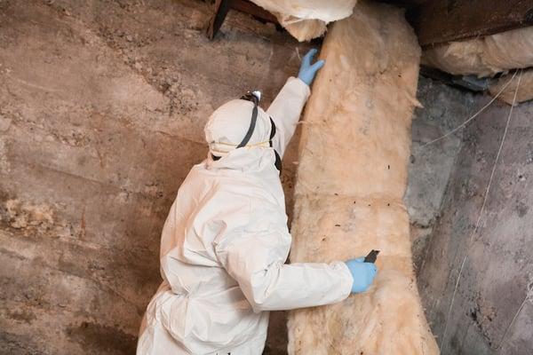 We remove any existing old insulation. This piece contains a few rat droppings.