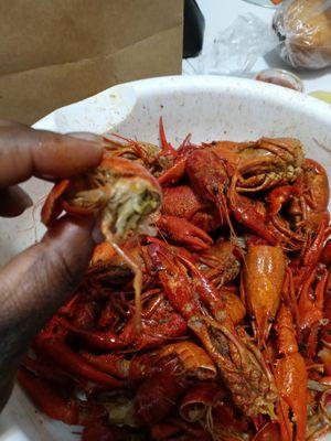 Crawfish should be bright red in color. Om from Louisiana and have been eating them my whole life